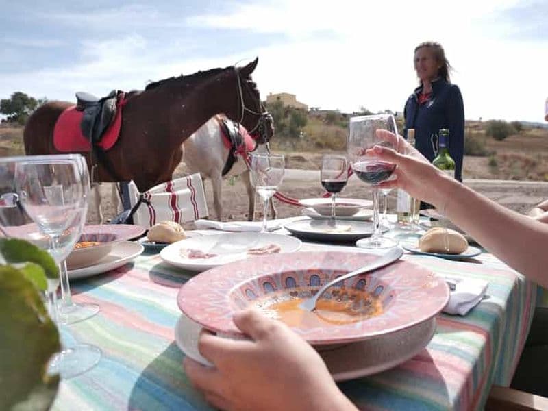 Pistes d'équitation de première qualité
