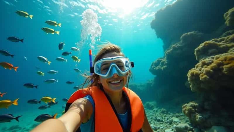 Billet Ilha Do Sal : plongée avec tuba avec un guide de la région