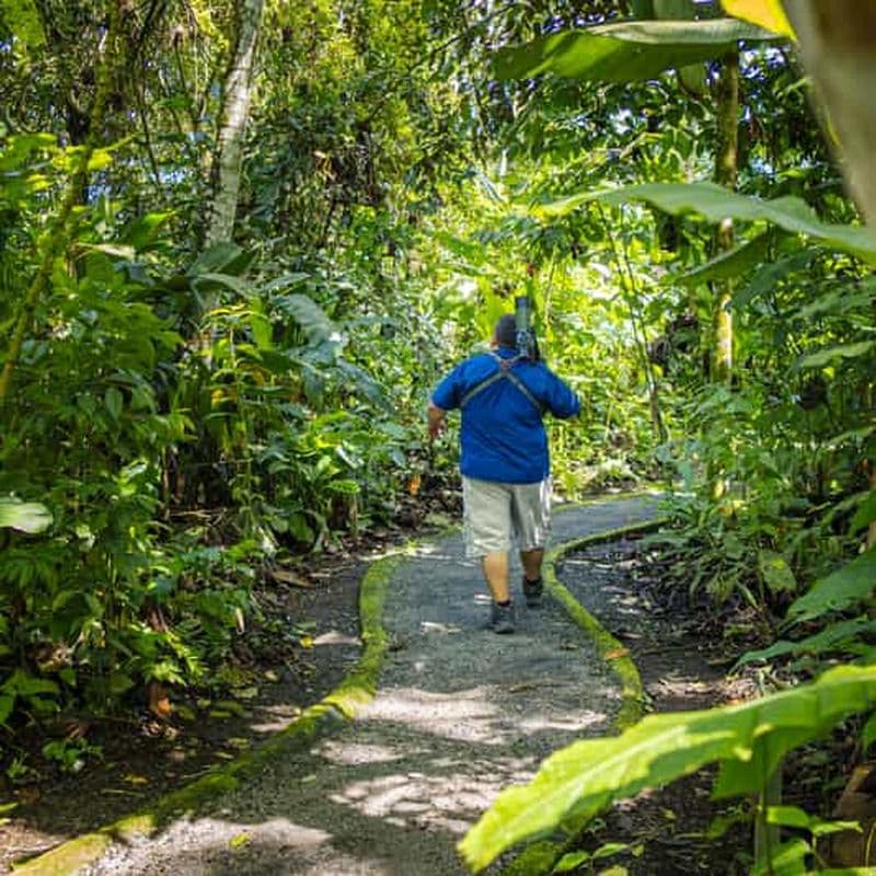 Billet La Fortuna : Tour des paresseux dans le parc du volcan Arenal et collation locale