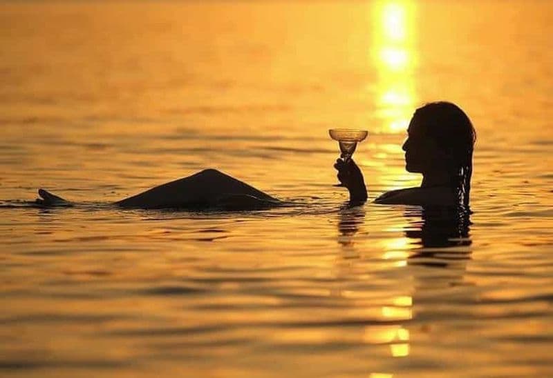 Billet Visite panoramique de Wadi Al Mujib et de la mer Morte au départ d'Aqaba