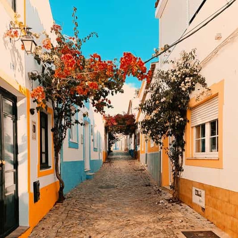 Billet Demi-journée, avec un guide de la région, trésors cachés