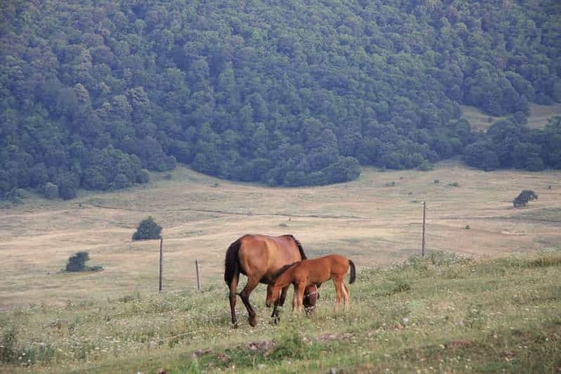 Arménie : Escaladez le Mont Armaghan à cheval