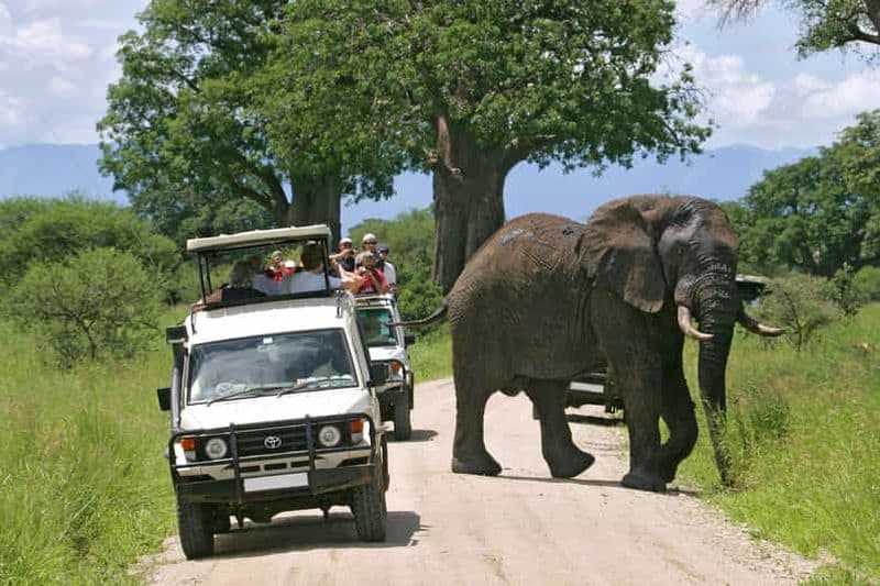Billet Nairobi : Safari camping de 4 jours au Maasai Mara et au lac Nakuru