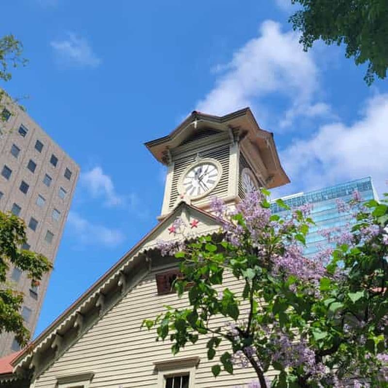 Les incontournables de Sapporo : visite guidée à pied de la Route dorée le matin