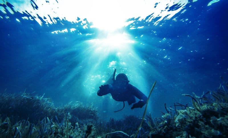 Gili Trawangan : pêche au harpon avec l'expérience Catch & Cook