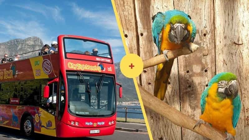 Billet Le Cap : bus à arrêts multiples pour les familles + entrée au World of Birds