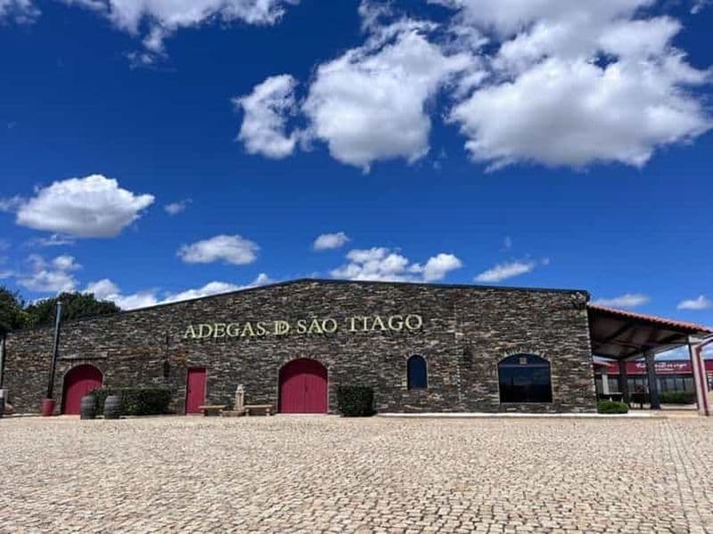 Dégustation de vins et visite de la cave