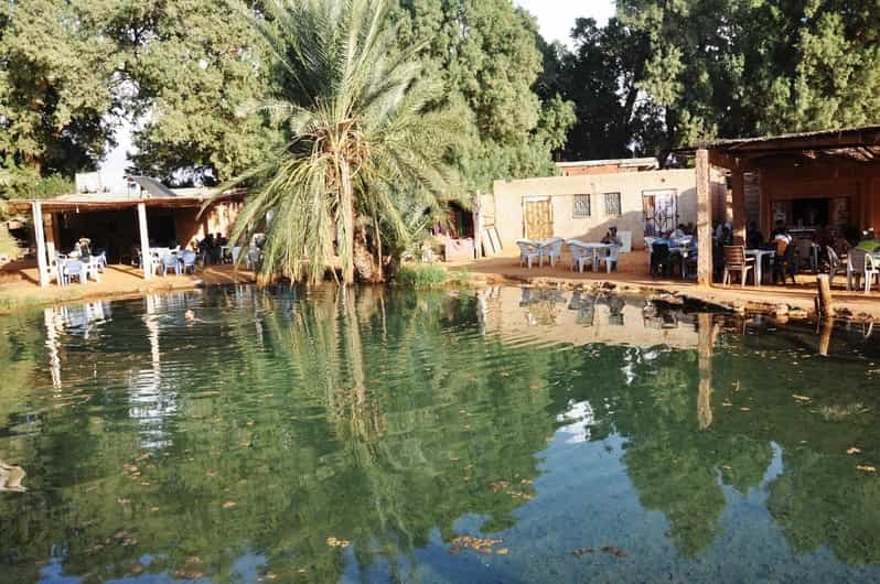 Djerba : visite d'une oasis et d'une source d'eau chaude dans le désert