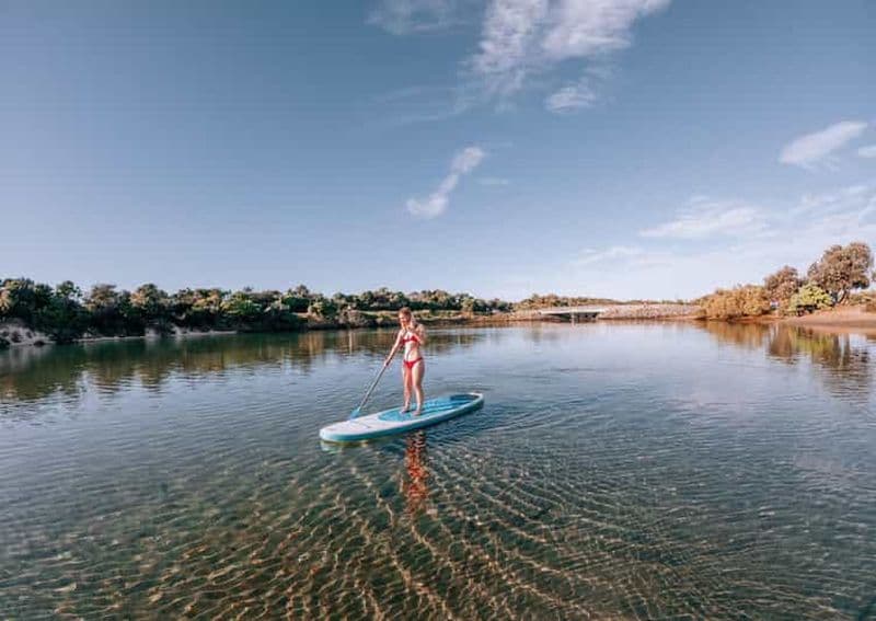 Billet Kingscliff : paddleboard et pleine conscience dans les mangroves