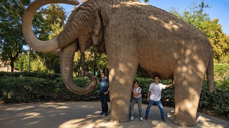 Billet Barcelone : Atelier photo Ciutadella + Tapa