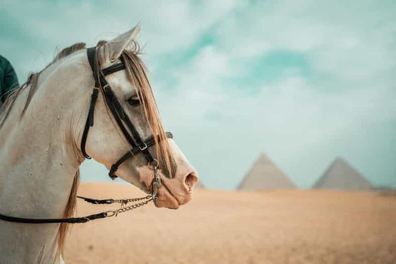 Billet Hurghada : Excursion d'une journée au Caire avec promenade à cheval le long des pyramides de Gizeh