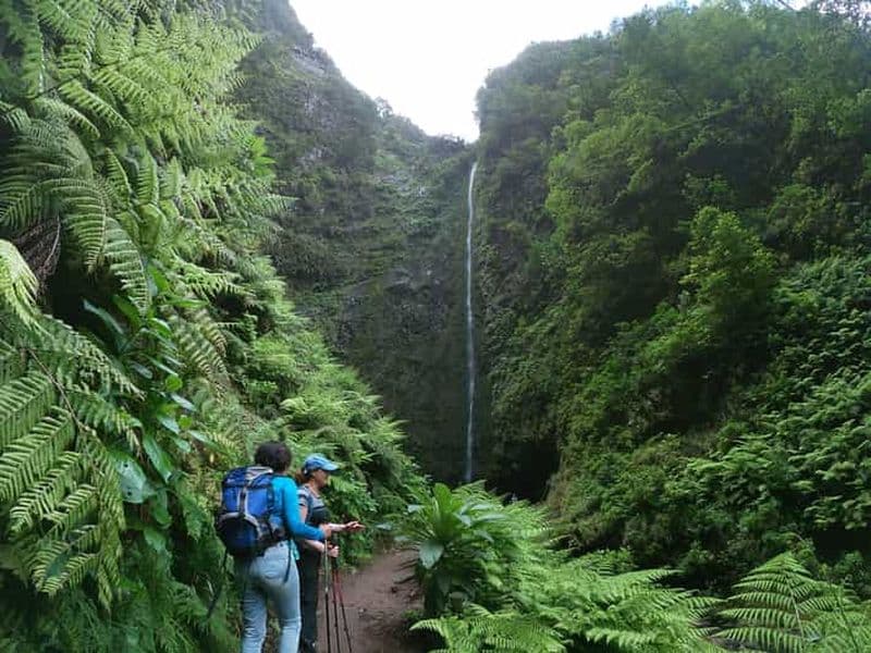 Île de Madère : Promenade Caldeirão Verde Levada