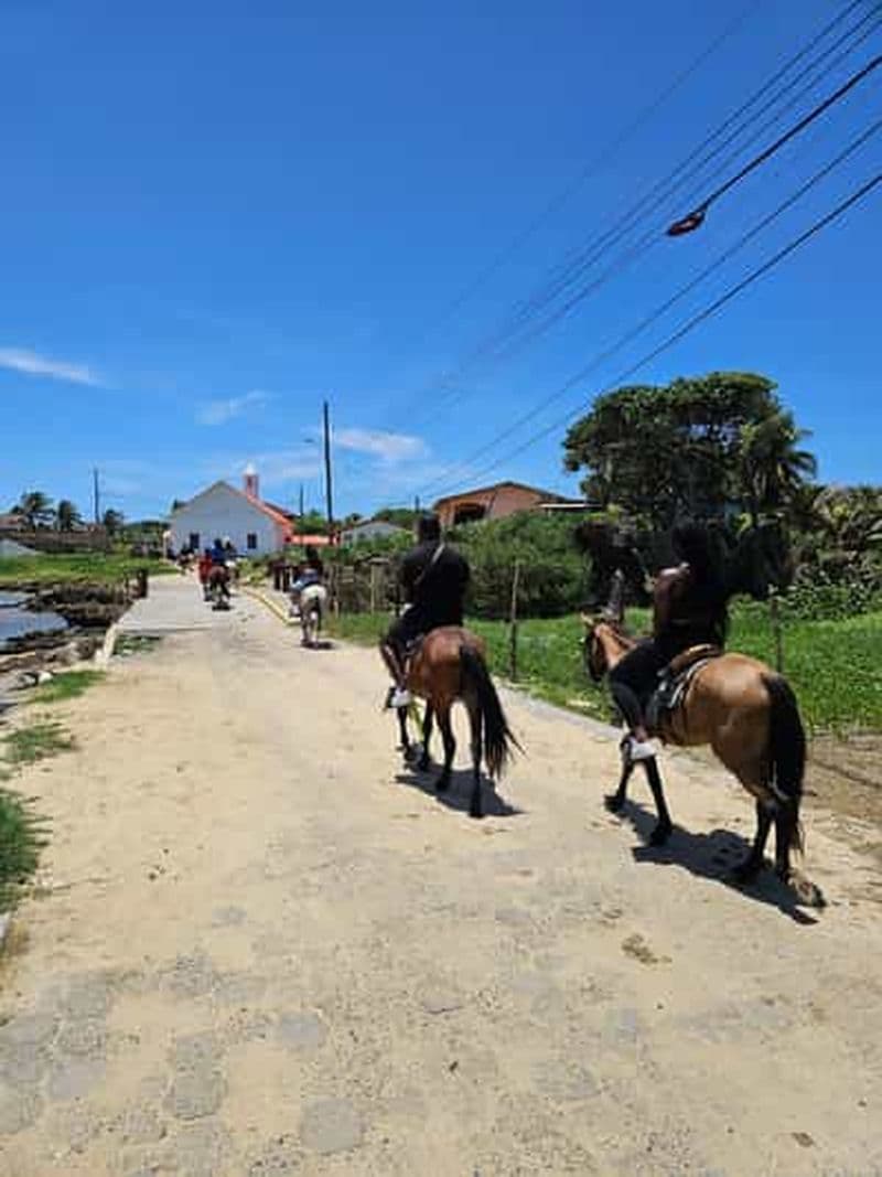 Billet Excursion à terre à cheval et tour en bateau à fond de verre