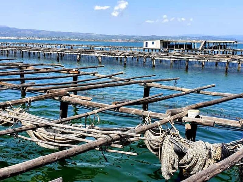 Billet Barcelone : Visite des bains de thon dans le delta de l'Ebre et route des oliviers