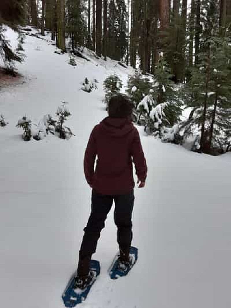 Billet Parc national de Sequoia : Visite privée en raquettes à neige