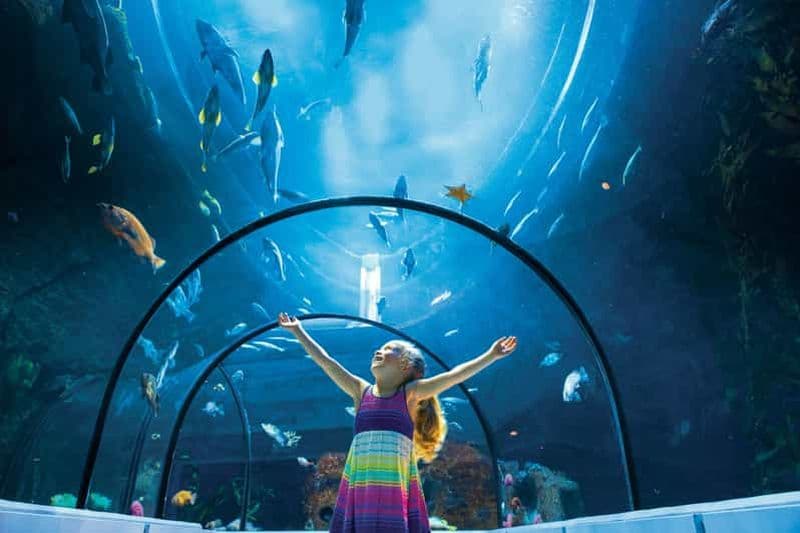Québec : billet d'entrée à l'Aquarium du Québec