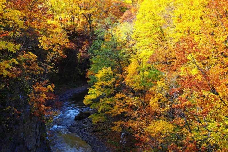 Sapporo en automne : Bouddha emblématique, musée de la bière et Jozankei
