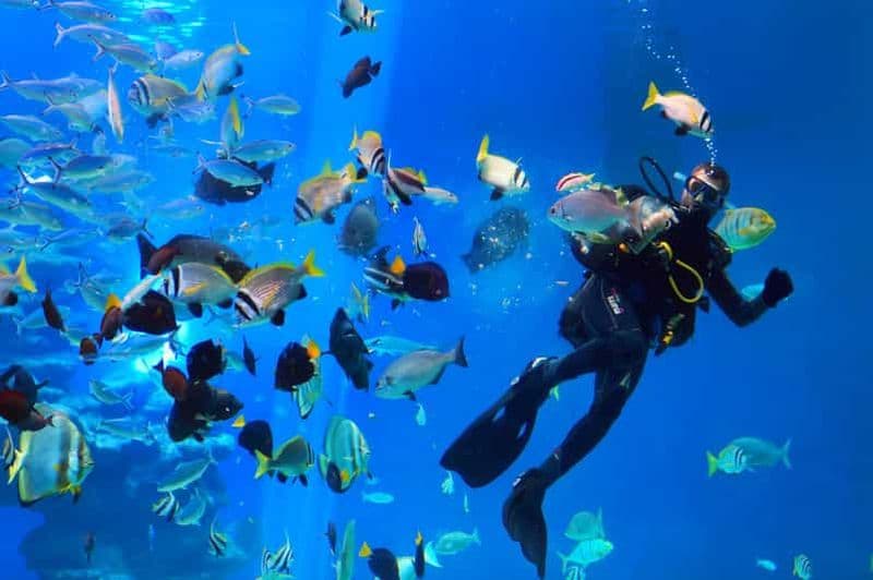 Hurghada : Excursion sur l'île d'Orange avec déjeuner, plongée et parachute ascensionnel