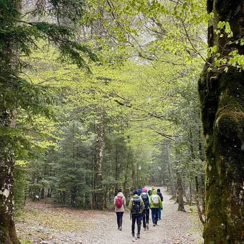 Saragosse-Pyrénées : Randonnée dans le parc national d'Ordesa