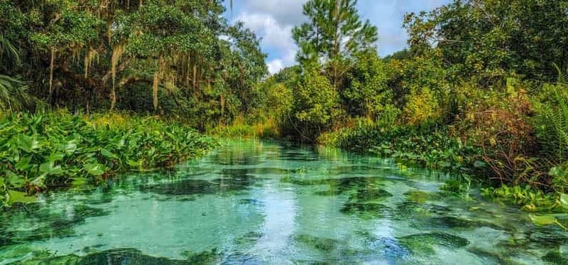 Billet Floride : aventure en kayak sur l'Emerald Cut