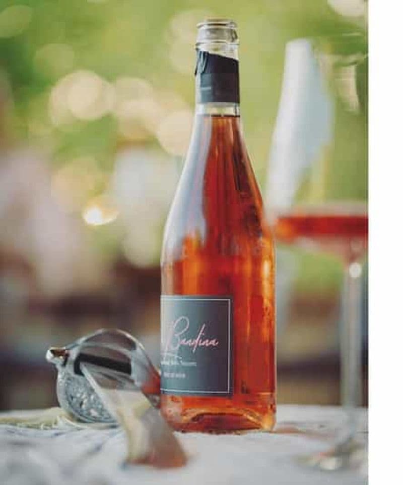 Collines de Parme : dégustation guidée de nos vins et visite du vignoble