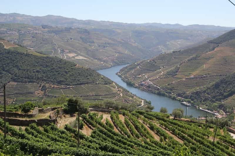Billet Visite d'une journée dans la vallée du Douro avec deux établissements vinicoles, déjeuner et excursion en bateau
