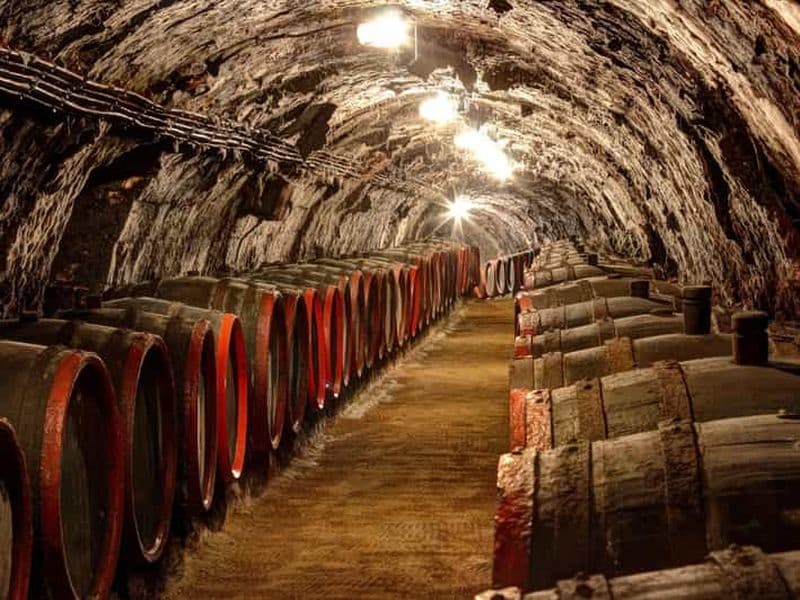 Billet Au départ de Budapest : Visite des vins de Tokaj avec dégustation et déjeuner