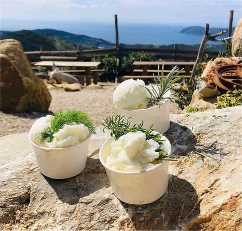 Billet Vélo électrique et collation avec crème glacée de chèvre sur une colline panoramique de l'île d'Elbe