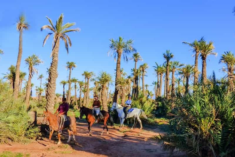 Billet Marrakech : Randonnée à cheval dans la palmeraie