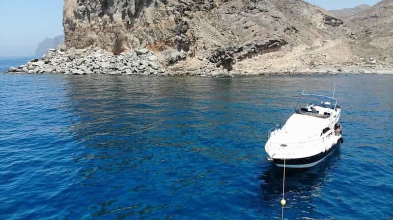 Mogan : Excursion en bateau pour observer les dauphins avec arrêt baignade