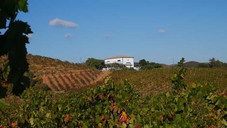 Albufeira, Olhão, Faro : Visite d'un vignoble, Temps libre à Silves