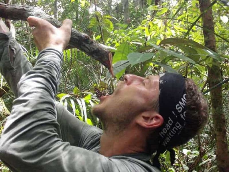 Billet Manaus : Survivre dans la jungle amazonienne