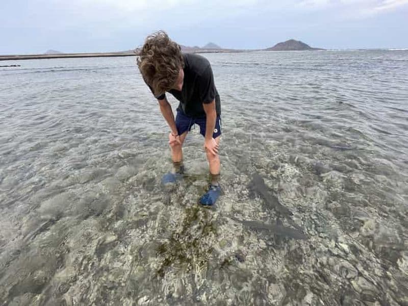 Billet Sal : Circuit de la baie de Lemon Shark et des lacs salés de Pedra de Lume