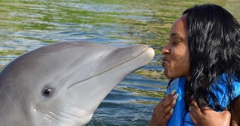 Montego Bay : Nager avec les dauphins à Lucea