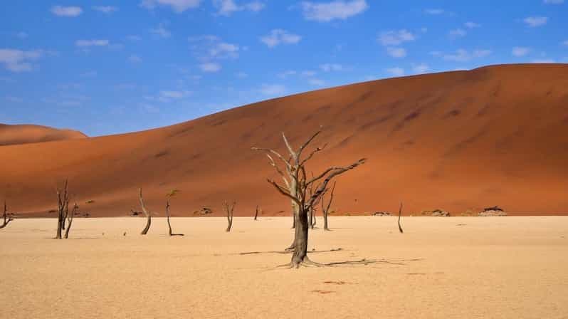 Billet 10 jours de safari en petit groupe à la découverte de la Namibie