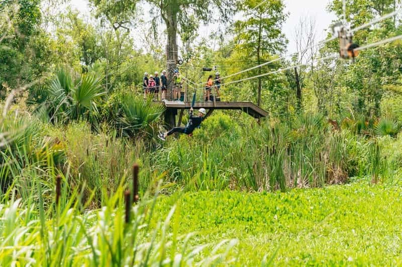 La Nouvelle-Orléans : Swamp Zipline Tour