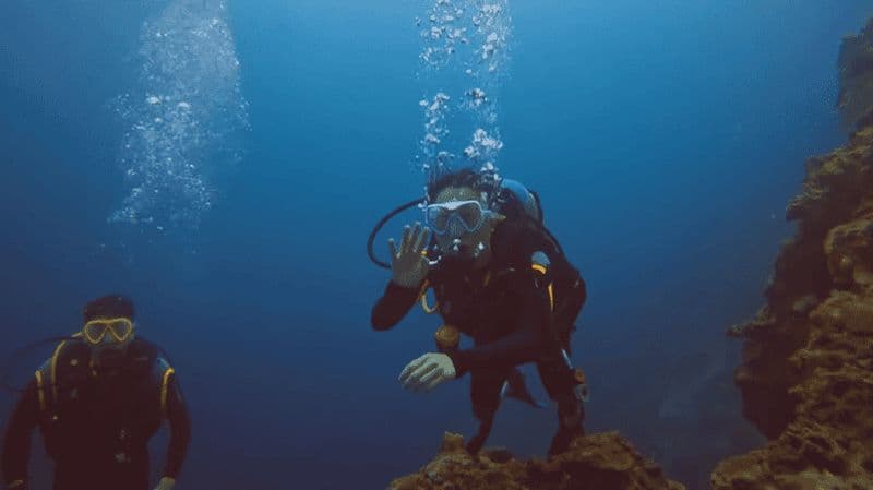 Billet Moalboal : plongée sous-marine et circuit dans les îles Pescador