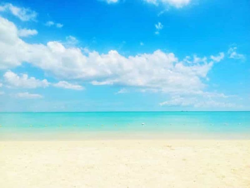 Billet Baignade avec les dauphins sauvages et 4 plages du nord avec transport