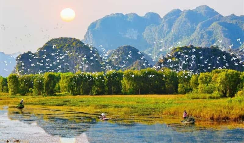 Depuis Hanoi : Visitez Ninh Binh et admirez les oiseaux en 2 jours