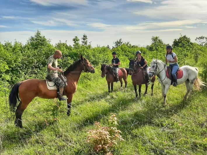 Depuis Belgade : Randonnée d'une demi-journée au mont Kosmaj