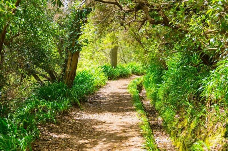 Billet Vale Paraíso Rochão Promenade dans l'île de Madère