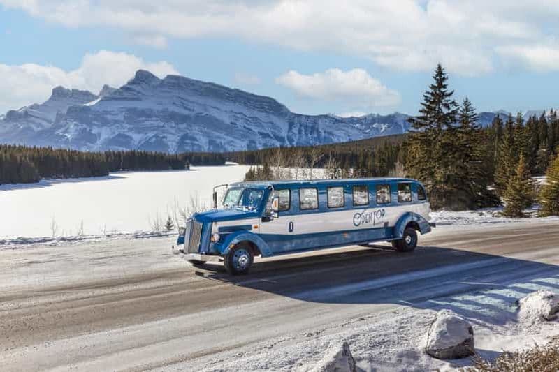 Billet Banff : Excursion hivernale avec dîner et lever de nuit à la télécabine de Banff