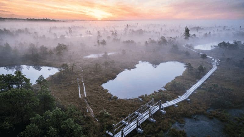 Billet Depuis Riga : visite de Jurmala et Kemeri avec pique-nique