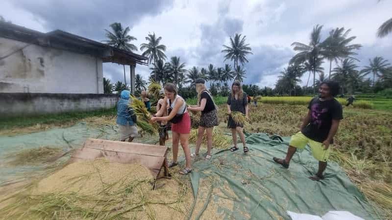 Billet Lombok : Visite de la campagne de Tetebatu et de la cascade de Benang Stokel