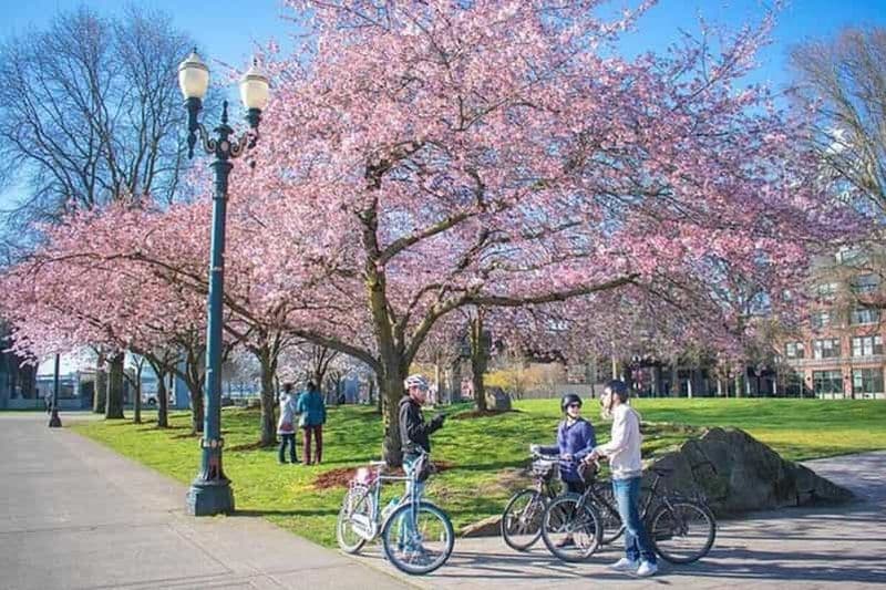 Essential Portland : Visite guidée à vélo de 2 heures