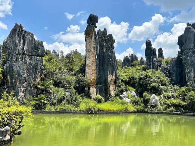 Billet Kunming : forêt de pierre, déjeuner au canard rôti et visite de la ville
