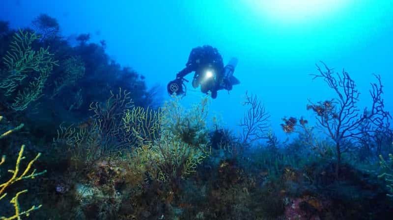 Montepaone Soverato : Plongée sous-marine