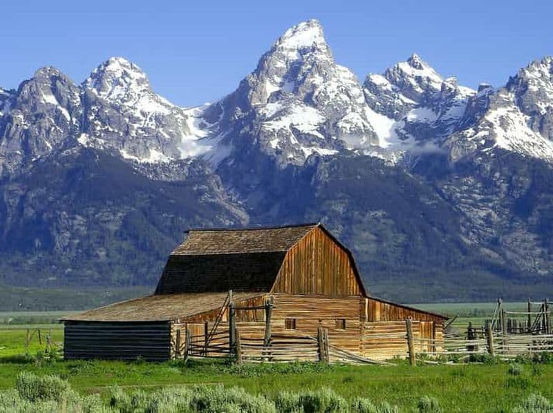 Billet Au départ de Jackson : visite d'une demi-journée du parc national de Grand Teton