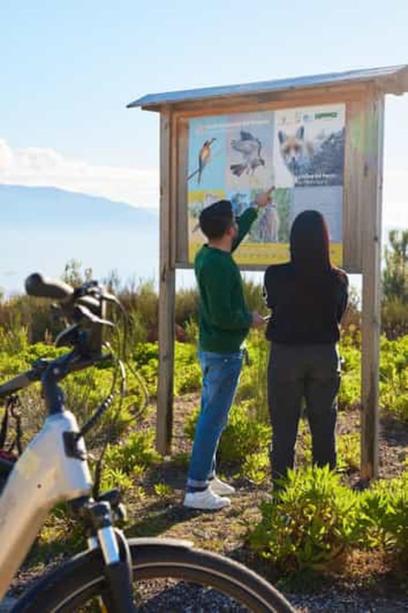 Billet Balade en vélo électrique et dégustation : vignobles du Vésuve et saveurs Doc