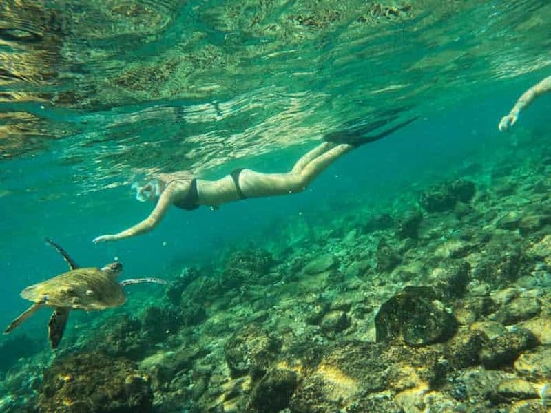 Depuis Abu Dhabi : Plongée en apnée avec des tortues à Fujairah avec barbecue